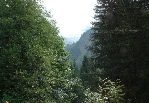 DSCF0009