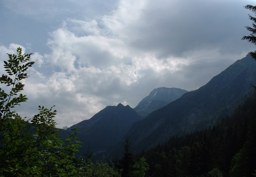 DSCF0006