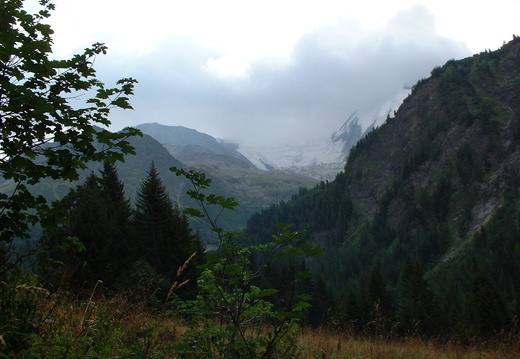 DSCF0010