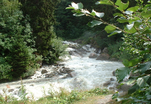 DSCF0008