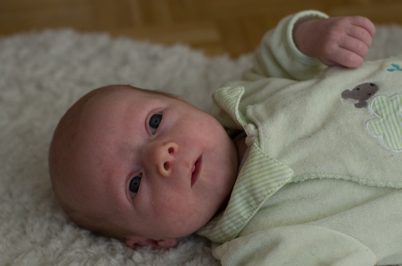 marius-002.jpg